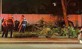 Kelowna news fatal car accident 2021. Camaro Demolished One Dead In Overnight Crash In Kelowna Kelowna News Castanet Net