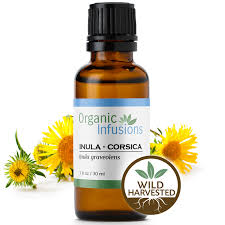 Image result for Inula