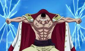 Edward Weevil | One Piece Wiki | Fandom