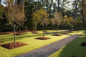 We did not find results for: 7 Tips For Saving Water In Your Landscape Asla Org