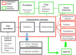 Magazin de haine si incaltaminte de branduri europene ca. Oral Microbiota Induced Periodontitis A New Risk Factor Of Metabolic Diseases Springerlink