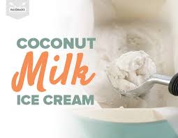 Coconut Milk Ice Cream Paleo Dairy Free Vegan