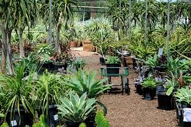 Such an amazing product and company. Wholesale Succulent Nursery Orange County Los Angeles San Diego