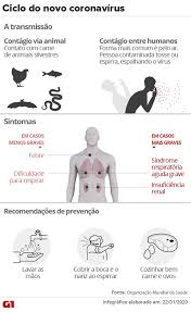 O Que As Gestantes Devem Saber Sobre O Coronavirus Fetalmed
