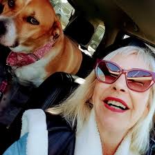 Hi, My beautiful dog Tinsel and I are planning to move to the area in the  fall. What are the best resources for housing and jobs? I am semi retired  and looking