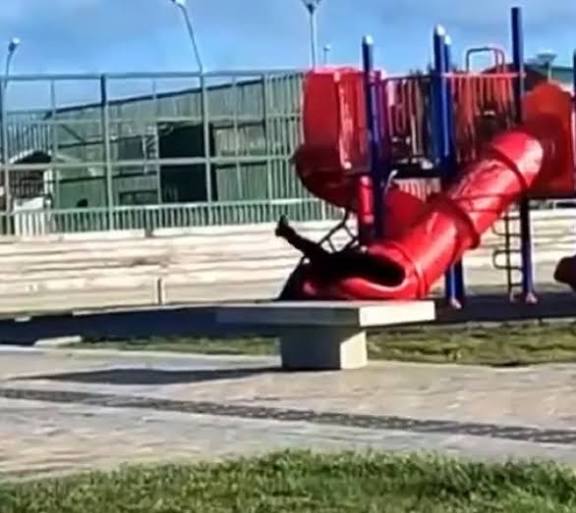 images?q=tbn:ANd9GcQ5RVVRJMlKCmX56CPnOzV