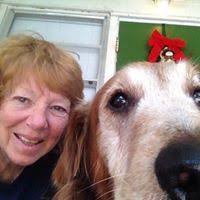 Fatal Decision: The Freeman Files Series