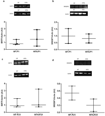 The if diet robert skinner. Acai Euterpe Oleracea Martius Supplementation In The Diet During Gestation And Lactation Attenuates Liver Steatosis In Dams And Protects Offspring Springerlink