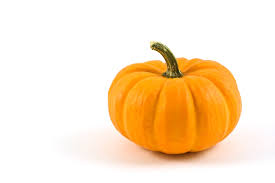 Image result for small pumpkin