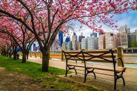 Weitere ideen zu norman rockwell, amerika, bilder. Foto New York Usa Hdr Waterfront Tradgardsbank Stad Byggnader