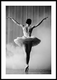 Check spelling or type a new query. Ballerina In Tutu Poster