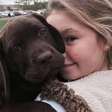 Each of our family raised maltese or maltipoo puppies have been well socialized to adults as well as our children. Stoney Creek Labradors Home Facebook