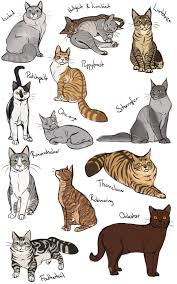 How To Cat Again 3 Por Annmy Deviantart Com En Deviantart Gatos Tiernos Illustration Katze Katze Zeichnen Tiere Zeichnen