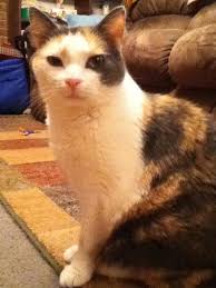 248142_1778653505783_1222742990_31481962_5603036_n