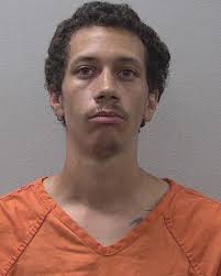 11 arrested in online sting operation