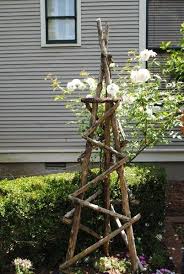 Pin On Branch Wood Art Furniture