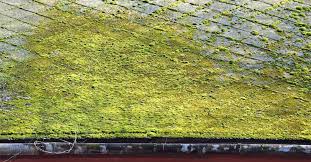 How to get moss off roof. How To Get Moss Off Roof Arxiusarquitectura