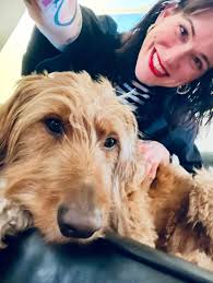 Hello, I want to find apartment in Dijon, for staying from  01.09(2024)-01.02(2025), NOT share room, and with furniture, please if You  have any options , send to me, thank you