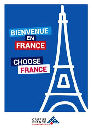 Other major urban areas include lyon, marseille, toulouse, bordeaux, lille, and nice. The Government Is Commited To Improving The Reception Of International Students Campus France