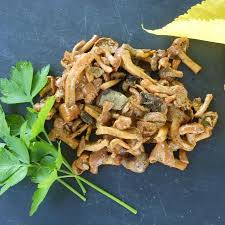 Fricassee De Champignons Des Bois Au Beurre Persille Champignon Des Bois Recettes De Cuisine Pied De Mouton