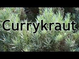 Pin Auf Krauter Viedeo