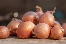 After her people were annexed by king cold's cold army she had no choice but to pledge allegiance, but still kept power over his people. What To Do If Onions Shallots Bolt Marshalls