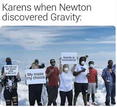 Karens When Newton Discovered Gravity Meme Shut Up And Take My Money