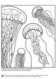 Coloring Page Jellyfish Img 4358 Coloring Pages Animal Coloring Pages Coral Art