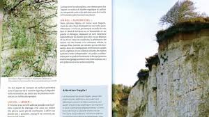 Https Www Rtbf Be Auvio Detail Mush Mush Et Les Champotes Id 2676303 Http Ds Static Rtbf Be Image Media Object Default 16x9 1920x1080 9 2 5 925120fcef5665d49bd647d8937b6b21 Jpg Mush Mush Et Les Champotes Parce Qu Ils Ont Gache La Surprise