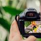 Catch The Bug For Macro Photography