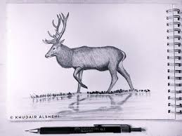 how to draw a deer drawing art deer animal drawings art drawings