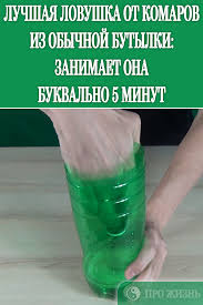 ученые физики в шоке насос качает воду без электричества Luchshaya Lovushka Ot Komarov Iz Obychnoj Butylki Zanimaet Ona Bukvalno 5 Minut Volvic Bottle Water Bottle Reusable Water Bottle