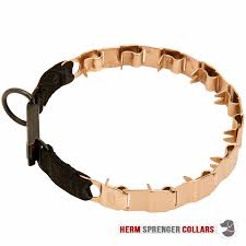The pettom dog prong collar is yet another amazing training collar that is available at a very affordable price. The Golden Boy Curogan Neck Tech Sport Dog Collar 19 Inches 48 Cm Long Hs85 1091 50050 010 68 Prong Collars Pinch Collars Dog Training Collars Curogan Collars Chain Dog
