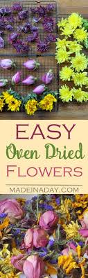 Today we test 6 methods for how to preserve leaves! 100 Dried Flowers Ideas Dried Flowers Flowers Flower Arrangements