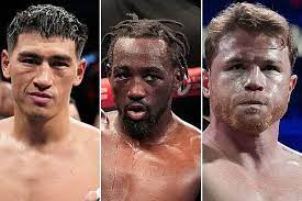 Dmitry Bivol gives Crawford advice on how to beat Canelo Alvarez in their  upcoming fight | Marca