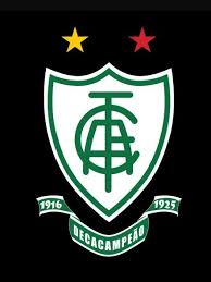 Прогнозы экспертов и капперов по футболу. America Mg America Mineiro America Futebol