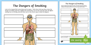 Wikimedia commons has media related to muscles of the human torso. The Dangers Of Smoking Labelling Worksheet Twinkl
