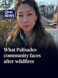 Pacific Palisades Wildfire Devastation Report