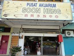 Enjoy and feast your eyes! Soon Heng Aquarium Trading Aquariums Aquarium Supplies Wholesaler Manufacturers In Malaysia