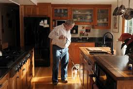 Bedbugs make resurgence in area homes