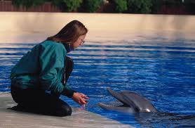 Marine Mammalogist Job Description Salary Skills More Marine Biology Jobs Marine Biologist Marine Mammals