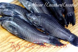 Tastes Like Home Guyana Food Caribbean Recipes Guyanese Recipes