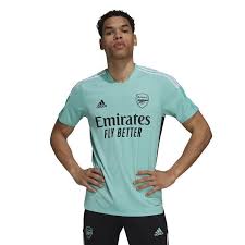 Adidas damen trikot arsenal fc. Adidas Fc Arsenal Tiro Trainingstrikot 21 22 Herren Hellblau Deinsportsfreund De
