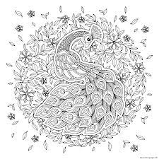 Peacock coloring pages for adults. Pin On Free Adults Coloring Pages To Print