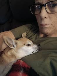 My baby girl Fable passed away yesterday. She was truly my best friend and  i don't know what I'm going to do without her💔