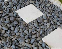 Hình ảnh về Sỏi đen tự nhiên trang trí nhà cửa