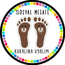 Covid 19 Dosyalarim Panosundaki Pin