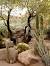 Desert Botanical Garden