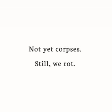 Writing Prompts Not Yet Corpse Still We Rot Quotes Words Writing