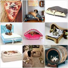 Eine überdachte terrasse ist ein perfekter platz, um sommer und bis weit in den herbst hinein das leben draußen zu genießen. Hundebett Designs Was Finden Hunde Gemutlich